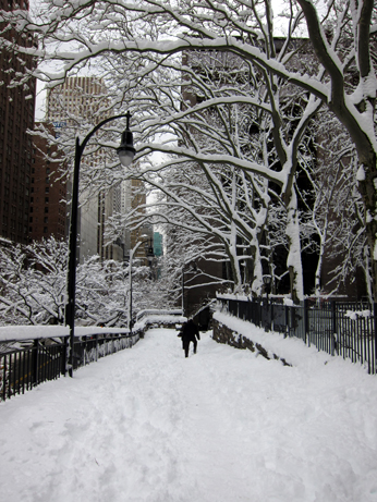 NYC Snow 2011